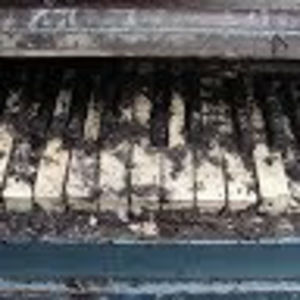 Meet your Posher, Dylan lee